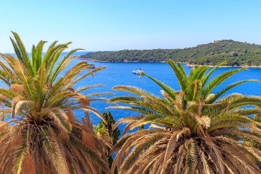 Two Palm Trees Apartment Dubrovnik Eksteriør bilde
